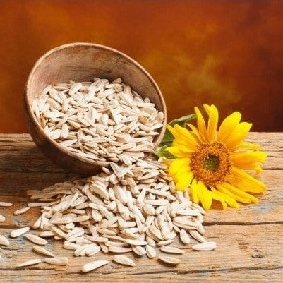 sunflower seeds